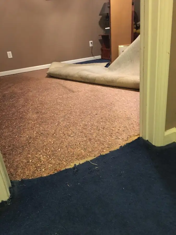Carpet pad removal revealing water damage during Drying & Dehumidification in Redmond