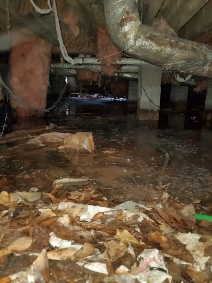 Crawl space flood assessment for Commercial Water Damage Restoration in Redmond