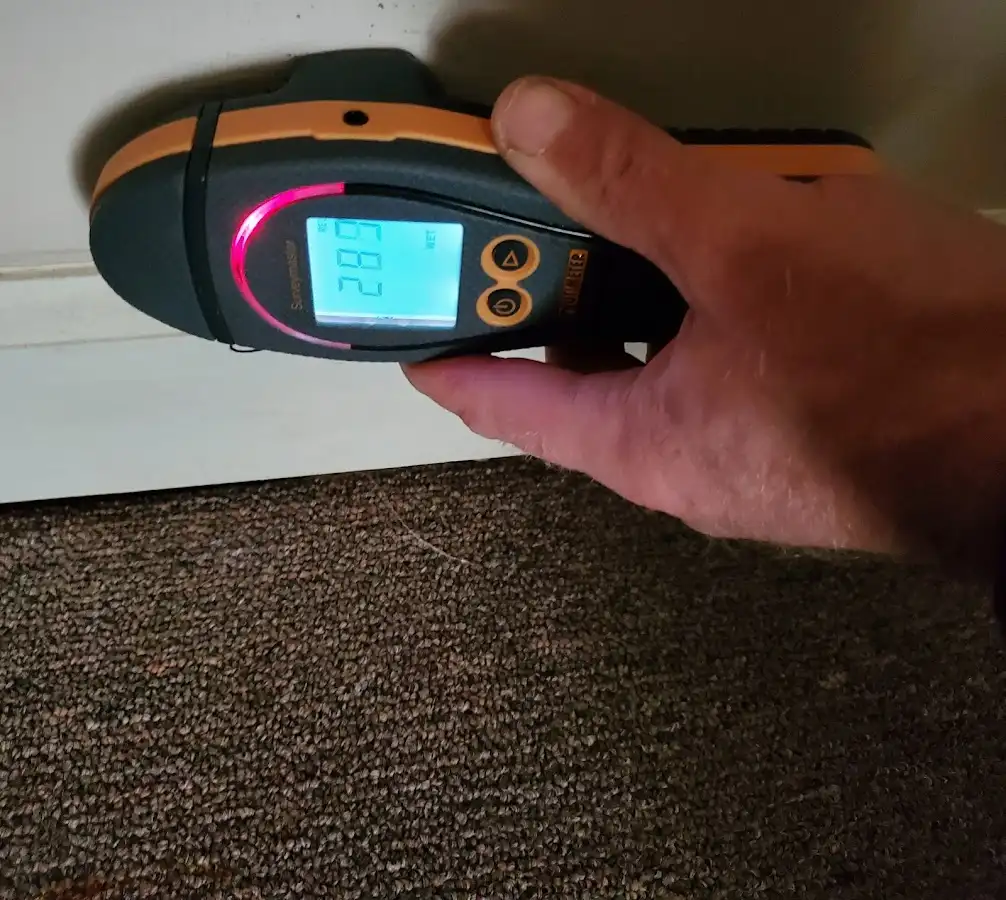 Moisture detection at baseboard during Sewage Cleanup & Sanitation in Redmond